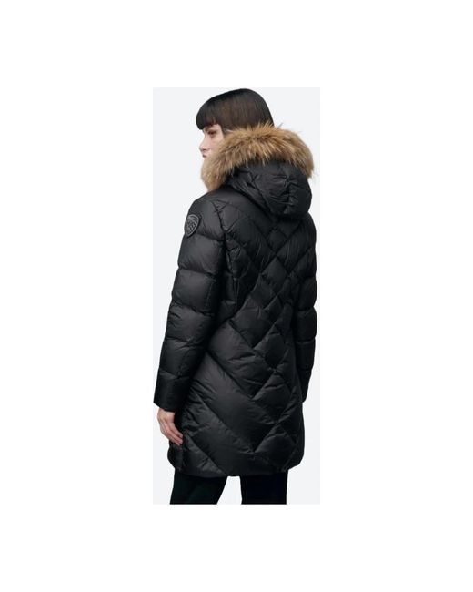 Blauer Blue Parkas