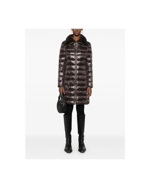 Herno Black Down Jackets