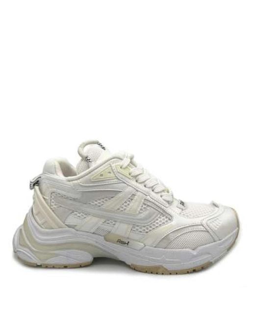 Ash Gray Sneakers