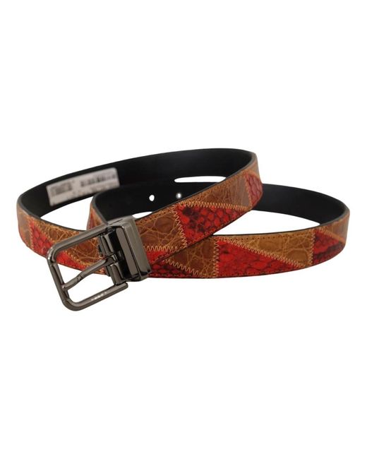 Dolce & Gabbana Brown Belts