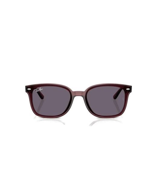 Ray-Ban Brown Sunglasses