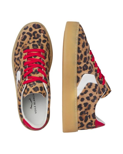 Voile Blanche Brown Sneakers