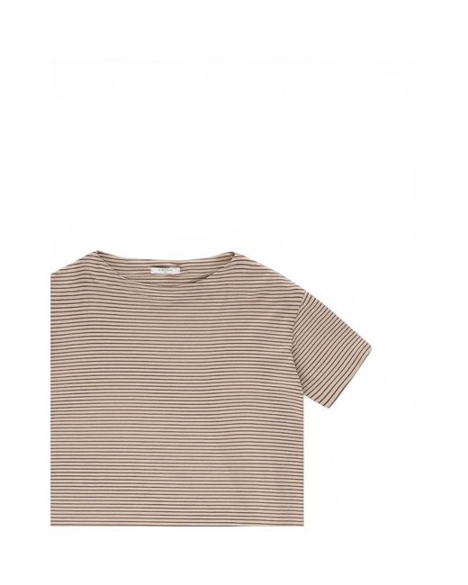 Circolo 1901 Gray T-Shirts