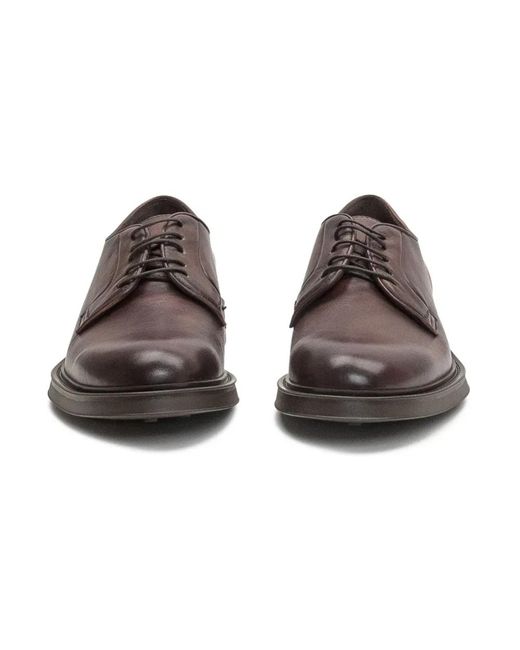 Sturlini Brown Laced Shoes for men