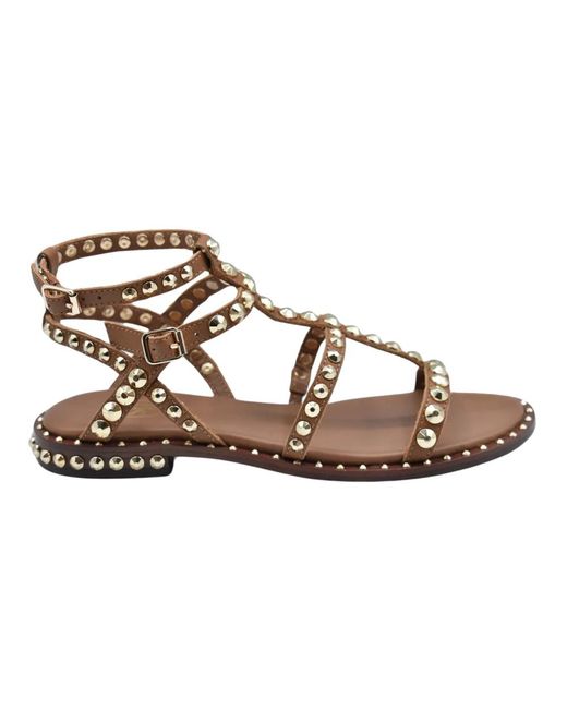 Ash Brown Flat Sandals