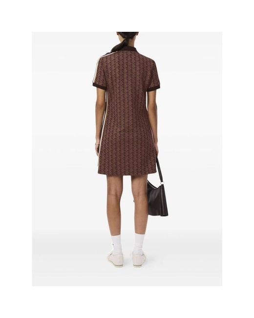 Lacoste Brown Shirt Dresses