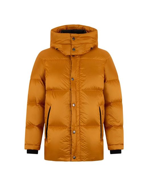Moorer Jassen ,Oranje ,Leer Padded Jacket in het Orange voor heren