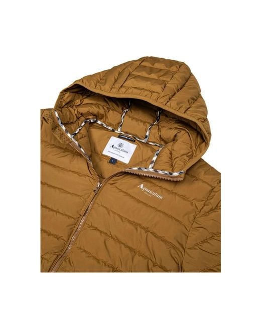 Aquascutum Brown Winter Jackets for men