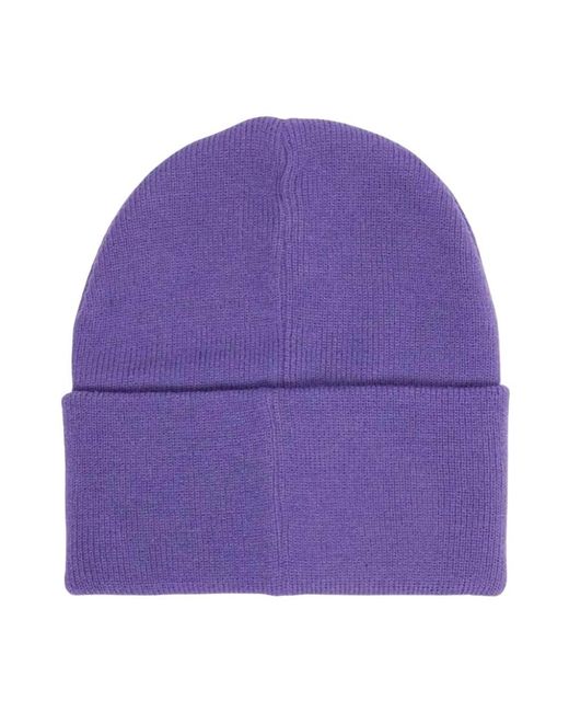 Beanies di Obey in Purple