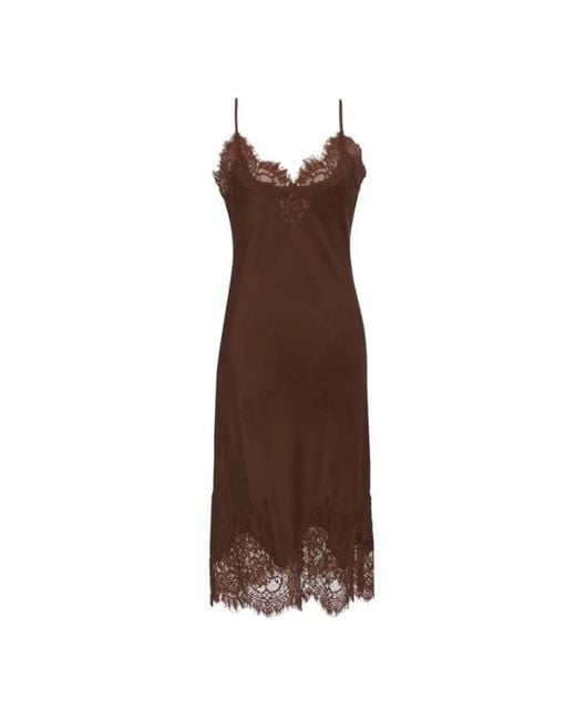 Gold Hawk Brown Midi Dresses