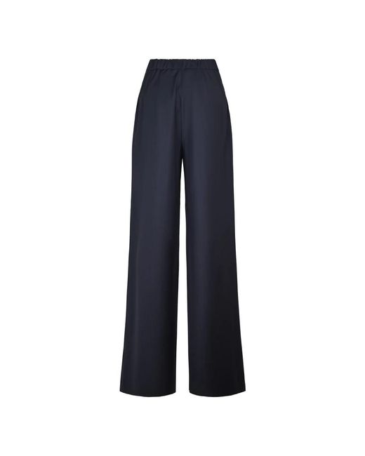 Max Mara Blue Wide Trousers