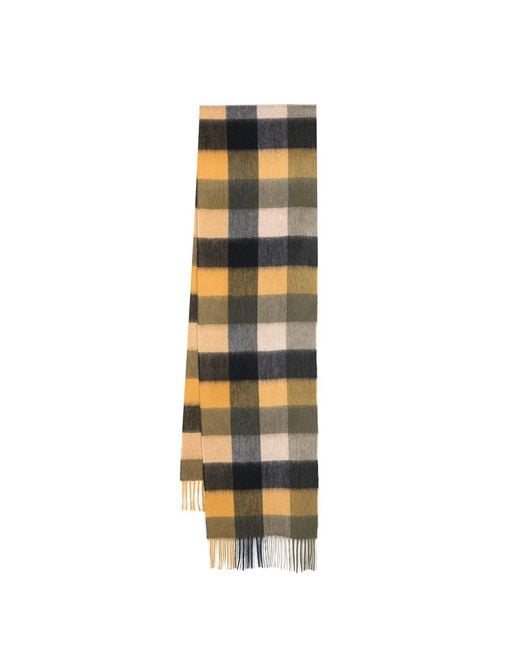 Barbour Multicolor Winter Scarves for men