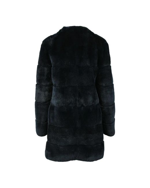 Blancha Jassen ,Blauw ,Bont in het Black
