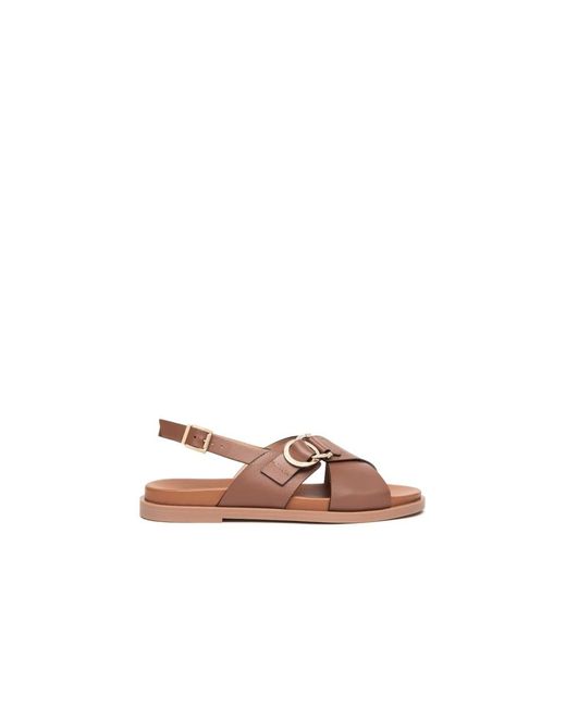 Nero Giardini Brown Flat Sandals