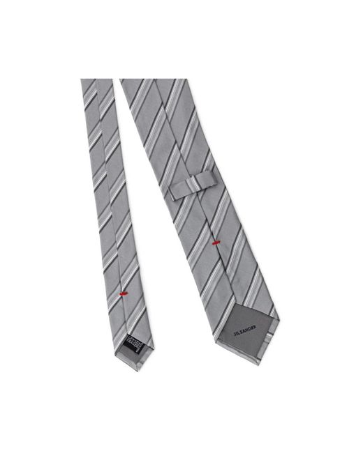 Ties di Jil Sander in Gray da Uomo