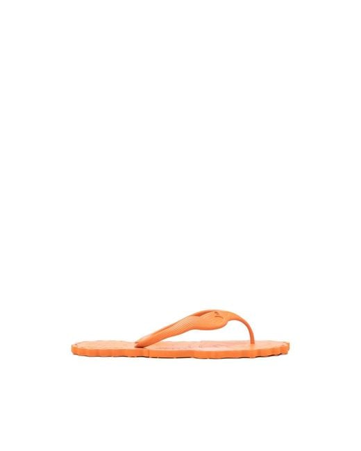 Zimmermann Orange Flip-Flops & Slides