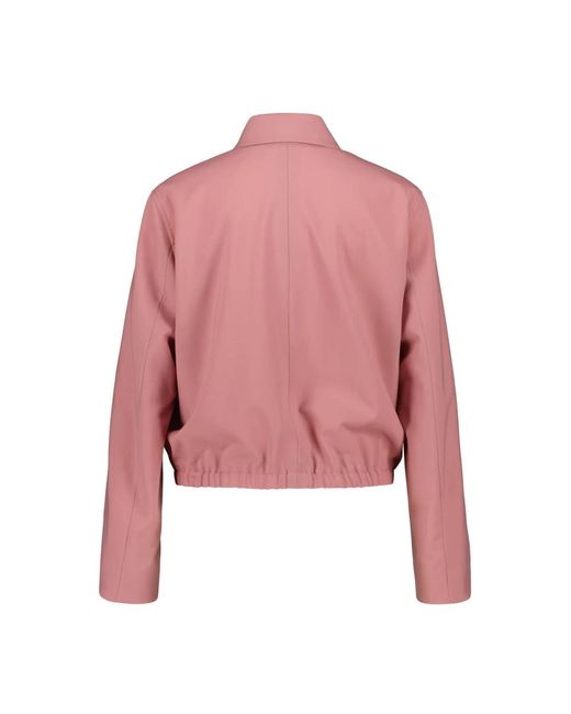 Windsor. Light Jassen in het Pink