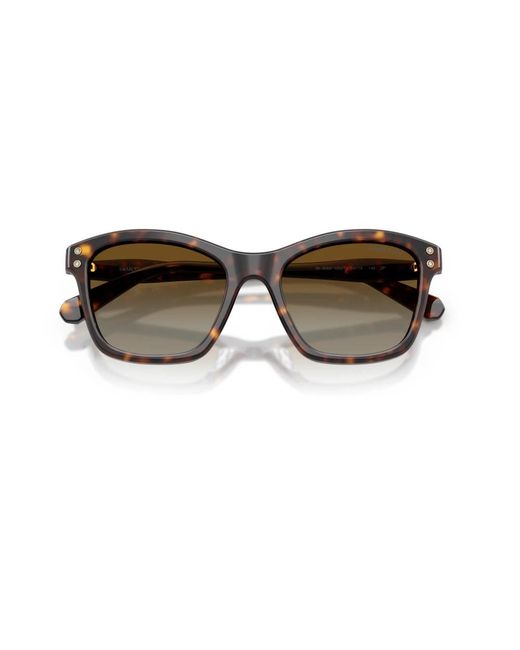 Swarovski Sk6063 Zonnebrillen in het Brown