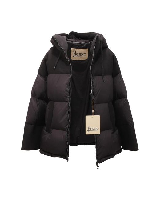 Winter Jackets Herno en coloris Black