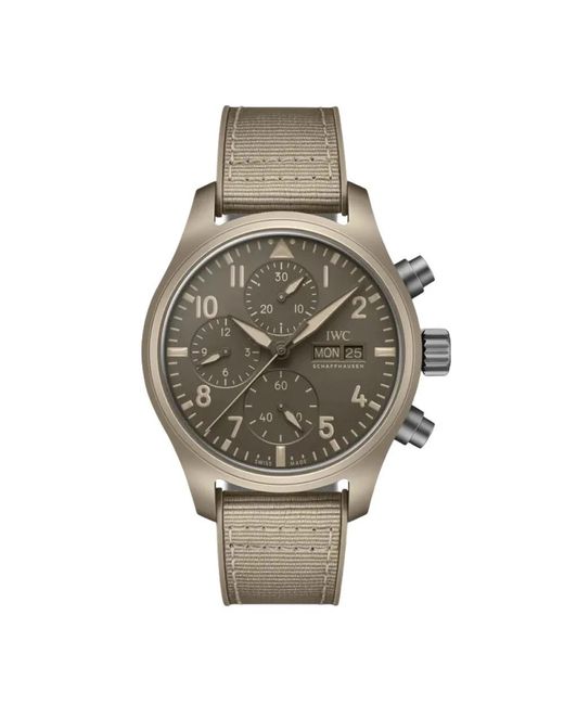 Watches di Iwc in Metallic