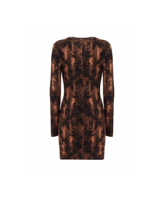 Roberto Cavalli Truien in het Brown