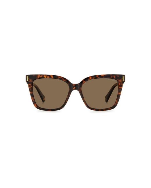 Polaroid Brown Sunglasses