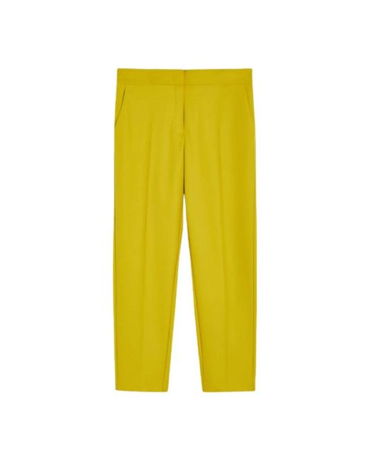 iBlues Yellow Straight Trousers
