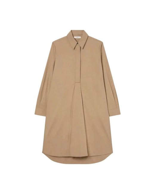 Co. Natural Midi Dresses