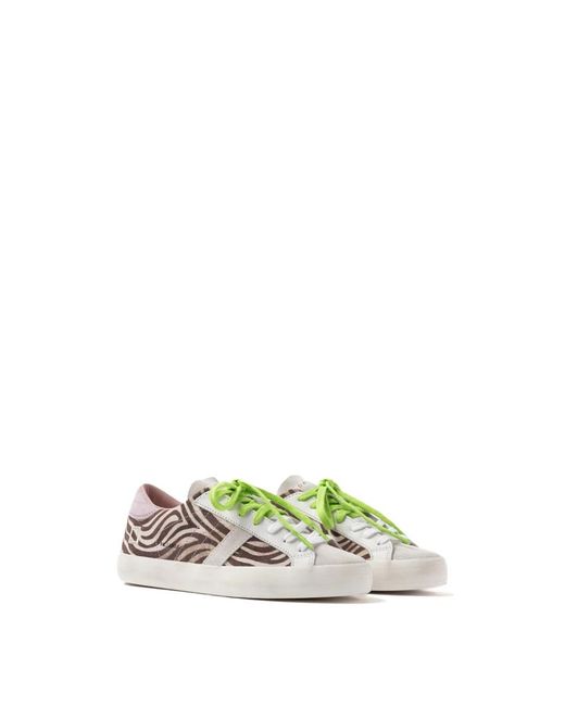 Date Multicolor Hill Low