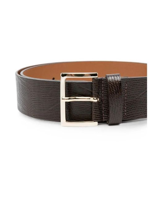 Belts Alysi de color Brown