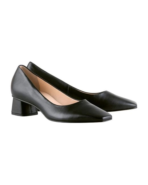 Högl Pumps in het Black