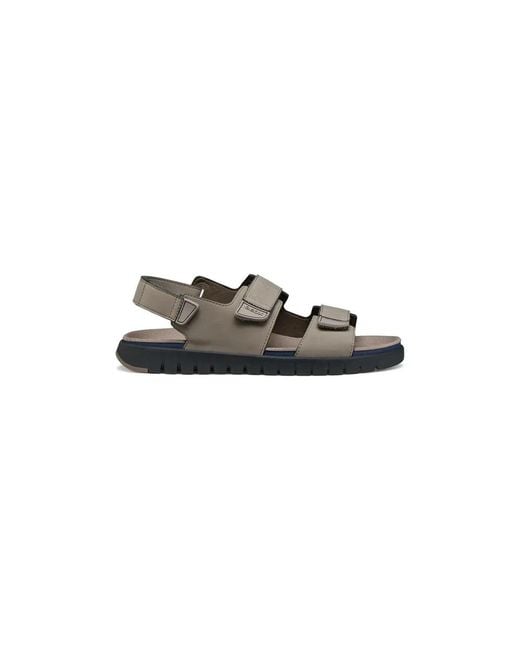 Geox U Flextride S in Natural für Herren
