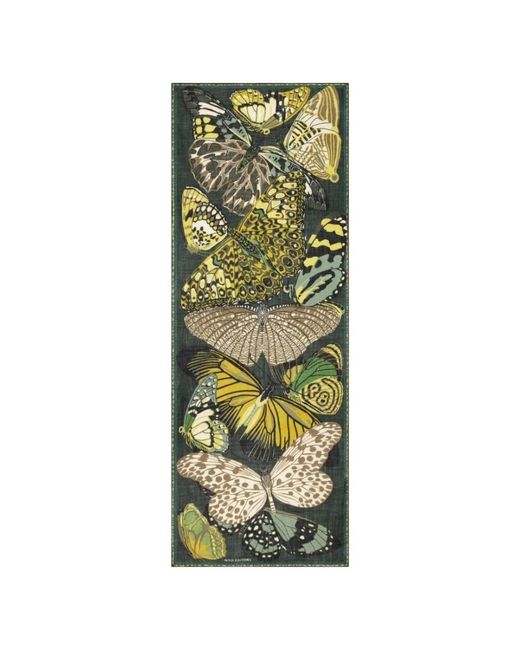 Inoui Edition Green Schal Mit Schmetterlingsmuster