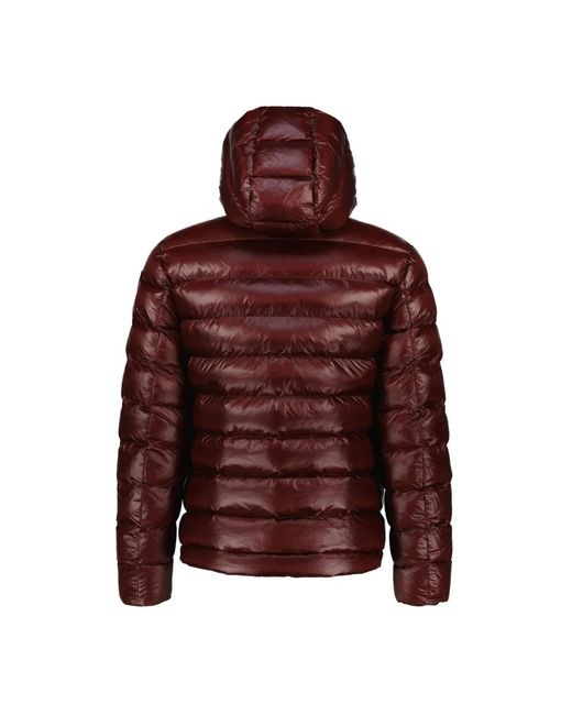 Winter Jackets di Blauer in Brown da Uomo