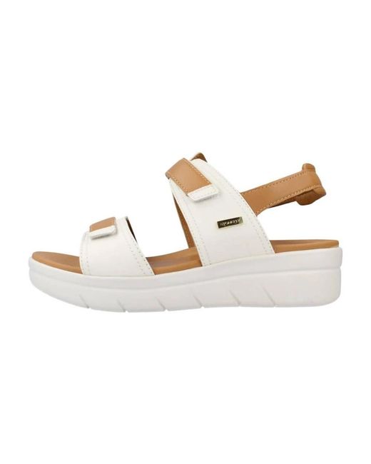 Stonefly Metallic Wedges