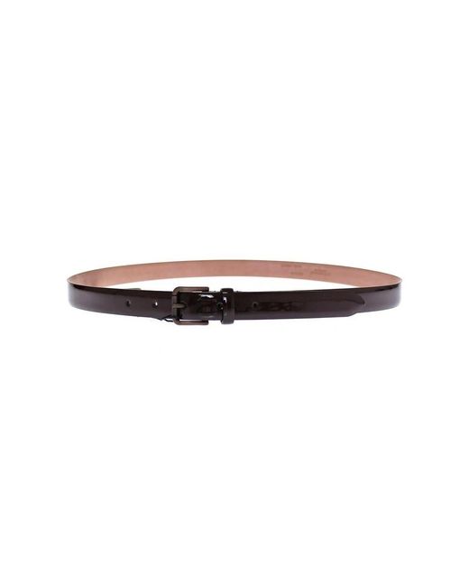 Dolce & Gabbana Brown Belts