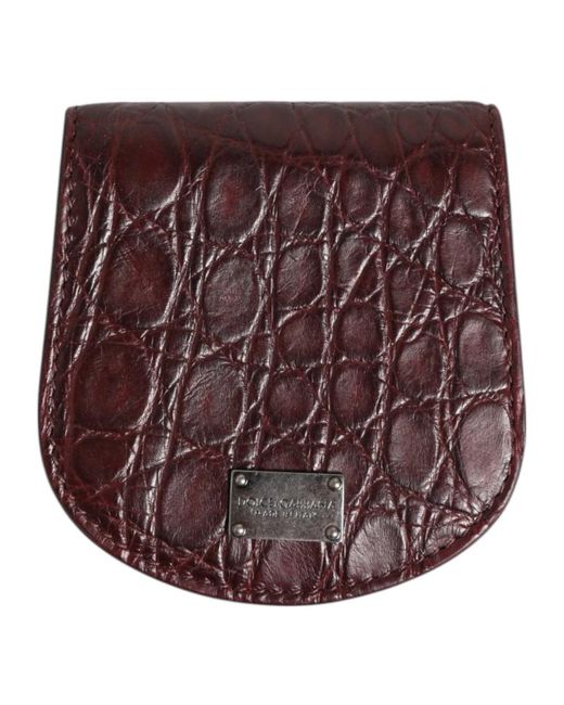 Wallets & Cardholders di Dolce & Gabbana in Brown