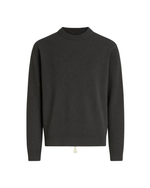 Daniele Fiesoli Turtlenecks in het Gray voor heren