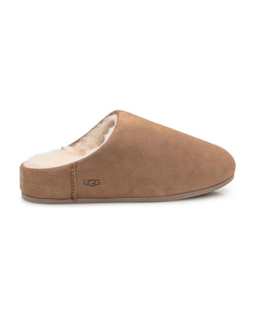 Ugg Brown Slippers