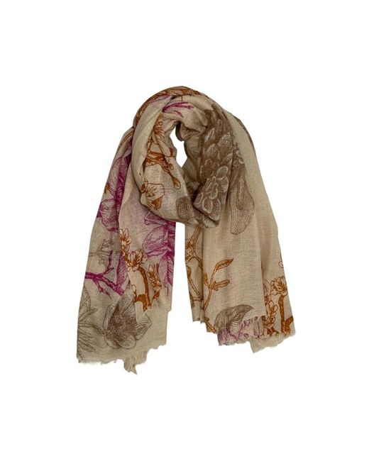 Mouleta Winter Scarves in het Brown