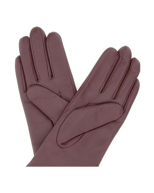 Gianni Chiarini Purple Gloves