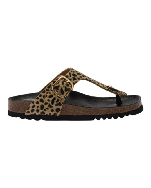 Scholl Brown Anais Flip-Flops