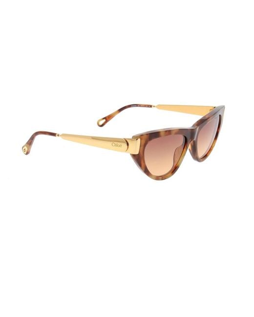 Chloé Brown Sunglasses