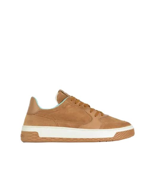 Pànchic Brown Sneakers for men