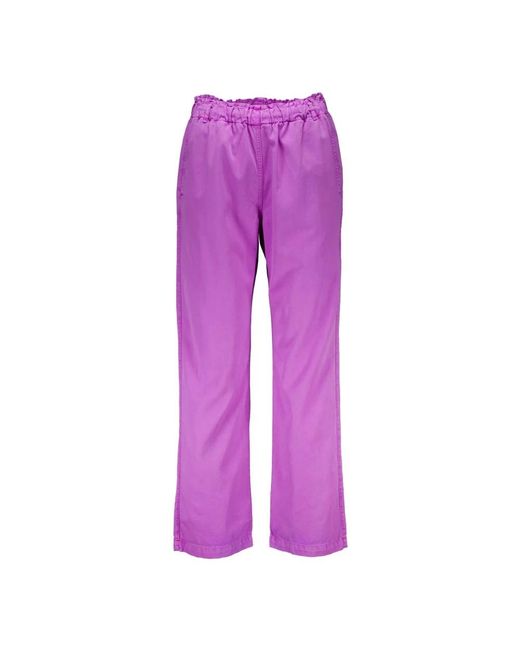 Xirena Pantalons in het Purple