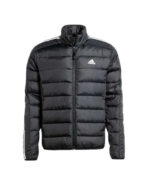 Adidas Essentials 3 Stripes Down Lichtgewicht Gewatteerd Jasje in het Gray voor heren