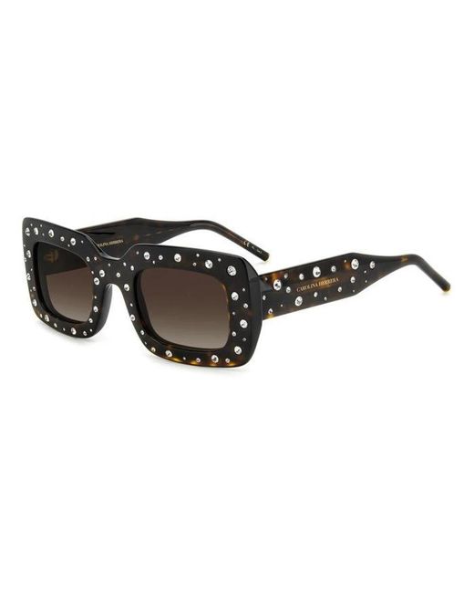 Carolina Herrera Black Brown Acetate Sunglasses