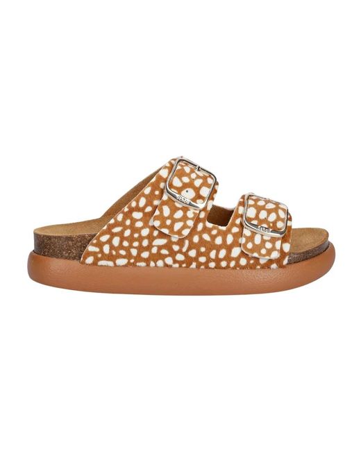 Scholl Noelle in het Brown