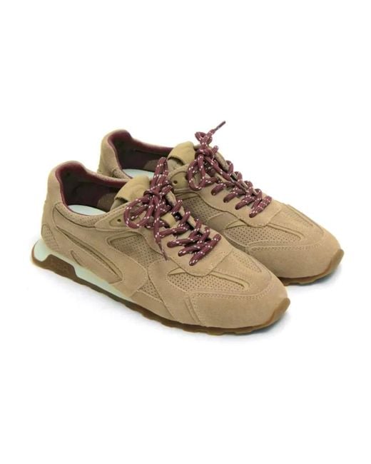 Ash Brown Sneakers