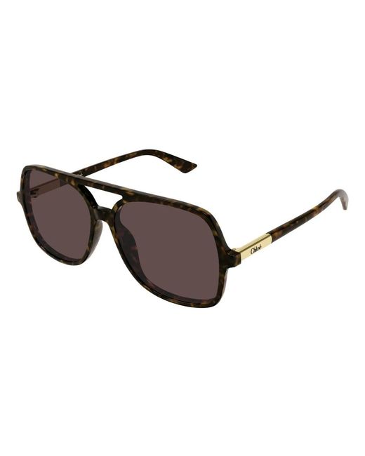 Chloé Brown Sunglasses